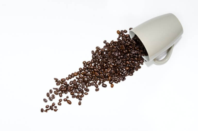 咖啡豆種類